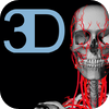 3D4Medical.com, LLC - The Cardiovascular System Pro アートワーク